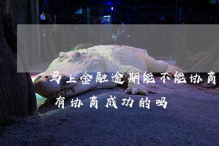 马上金融逾期能不能协商还款(马上金融逾期有协商成功的吗)