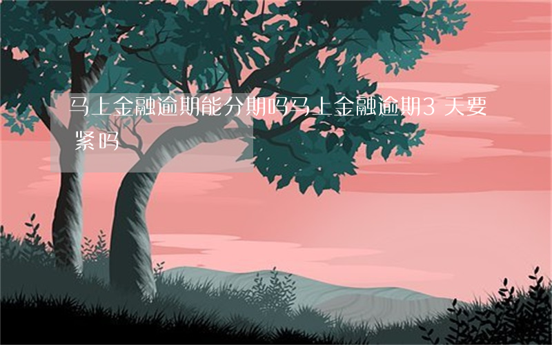 马上金融逾期能分期吗(马上金融逾期3天要紧吗)