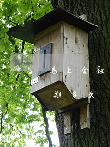 马上金融逾期能协商分期吗(马上金融可以逾期多久)