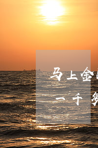 马上金融逾期被起诉了怎么办(马上金融逾期一千多会起诉)