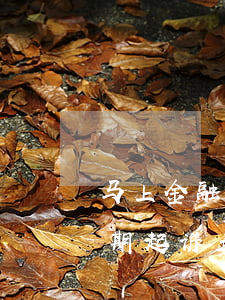 马上金融逾期起诉立案标准(马上金融网贷逾期起诉立案标准)