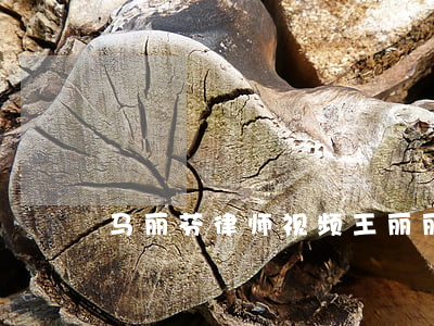 马丽芬律师视频(王丽丽律师)