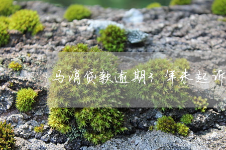 马消贷款逾期3年未起诉