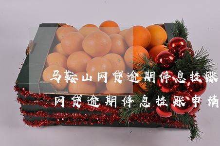 马鞍山网贷逾期停息挂账申请条件-马鞍山网贷逾期停息挂账申请条件是什么