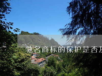 驰名商标的保护是否及于全类？