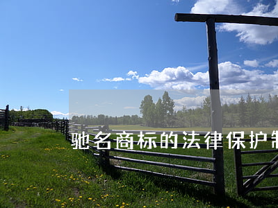 驰名商标的法律保护制度是怎样的