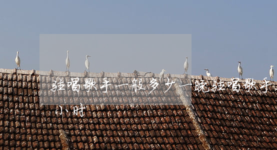 驻唱歌手一般多少一晚(驻唱歌手工资多少一小时)