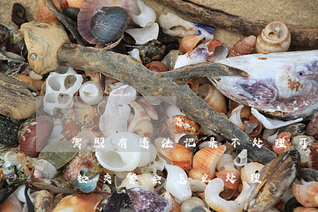 驾照有违法记录不处理可以年检吗(驾照没年检,交警会怎么处理?)