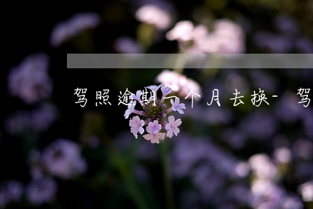 驾照逾期一个月去换-驾照逾期一个月换证