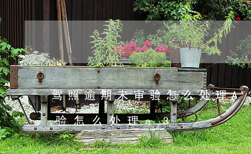 驾照逾期未审验怎么处理A3(驾照逾期未审验怎么处理a3)