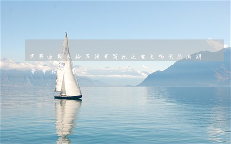 驾照逾期未检吊销有罚款还要交吗(驾照逾期未审验罚款吗)