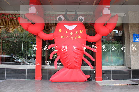 驾证逾期未审验怎么弄(驾驶证逾期未审验怎么回事)
