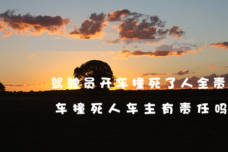 驾驶员开车撞死了人全责怎么赔偿(驾驶员开车撞死人,车主有责任吗)