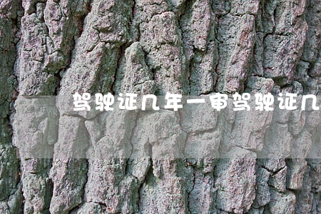 驾驶证几年一审(驾驶证几年一审)