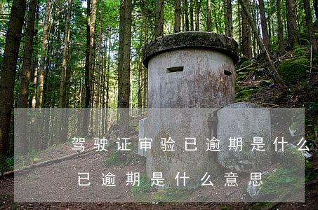 驾驶证审验已逾期是什么意思-驾驶证审验已逾期是什么意思