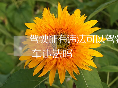 驾驶证有违法可以驾驶车辆吗(没有驾驶证开车违法吗)