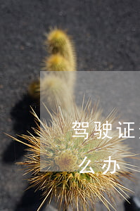驾驶证逾期2年-驾驶证逾期2年未审验怎么办