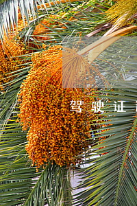 驾驶证逾期一年武汉(驾驶证逾期一年武汉)