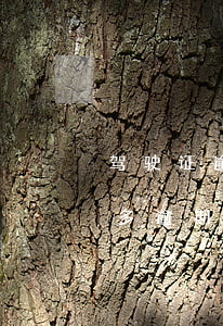 驾驶证逾期多少天年审算违法(驾驶证年审最多逾期多长时间)