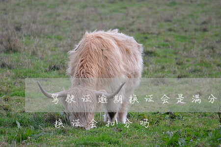 驾驶证逾期换证会是满分吗-驾驶证逾期未换证会扣分吗