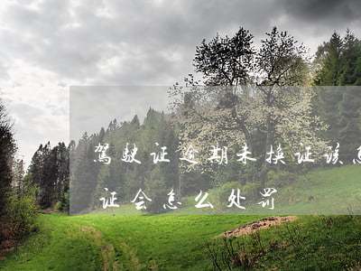 驾驶证逾期未换证该怎么办（驾驶证逾期未换证会怎么处罚）