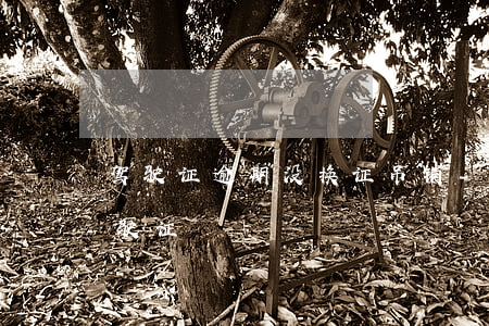 驾驶证逾期没换证吊销-逾期未处理吊销驾驶证