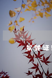 驾驶证验证逾期怎么办（驾证验证逾期）