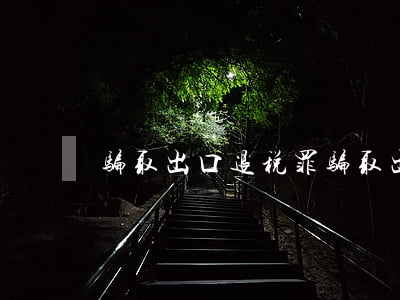 骗取出口退税罪(骗取出口退税罪案例)
