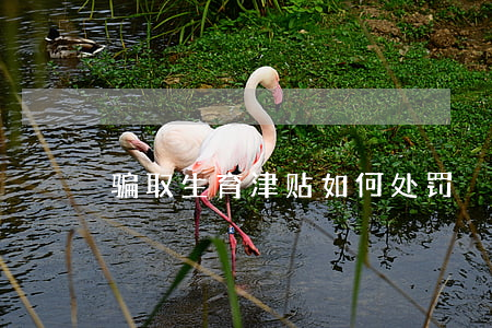 骗取生育津贴如何处罚