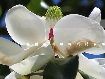 骗婚起诉书格式范文(骗婚起诉书格式范文)
