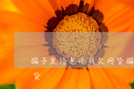 骗子发信息说我欠网贷(骗子发信息说我欠网贷)