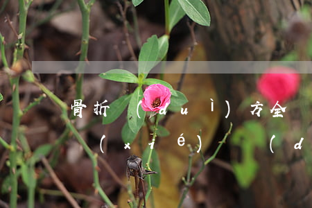 骨折對(duì)方全責(zé)后期賠償協(xié)議(對(duì)方骨折,責(zé)任劃分后的賠償問題)
