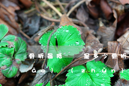 骨折最低賠償是多少(骨折輕傷賠償標(biāo)準(zhǔn))
