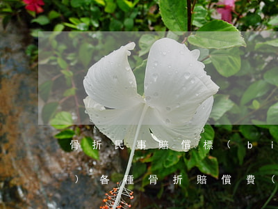骨折民事賠償標(biāo)準(zhǔn)(各種骨折賠償費(fèi)用)