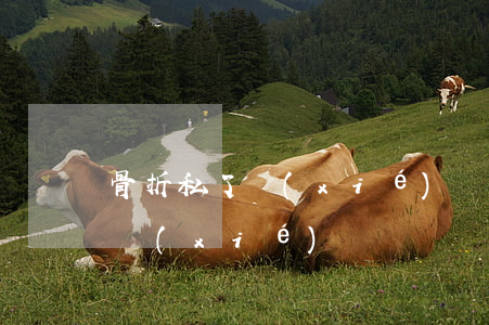 骨折私了協(xié)議書有效嗎(受傷私了協(xié)議書)