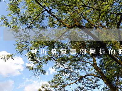 骨折賠償事例(骨折的賠償)