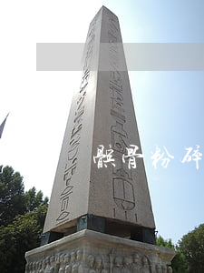 髌骨粉碎性骨折(髌骨粉碎性骨折两年了)