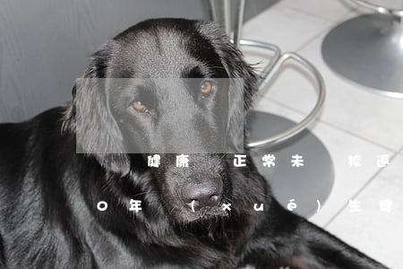 體溫健康碼正常未離校返校未逾期-2020年學(xué)生健康卡體溫一格我沒有每天測試應(yīng)該怎么填寫
