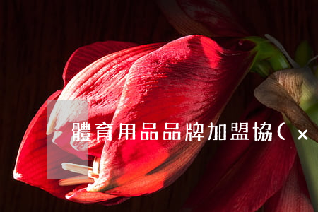體育用品品牌加盟協(xié)議書