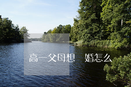 高一父母想離婚怎么辦
