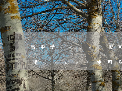 高中學(xué)歷可以考司法證嗎(在校大學(xué)生可以考司法證嗎)