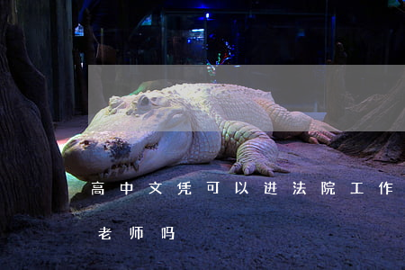 高中文凭可以进法院工作吗(高中文凭可以当老师吗)