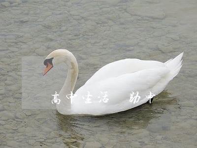 高中生活補助申請書