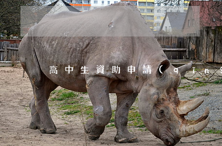 高中生資助申請(qǐng)書(shū)