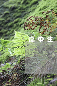 高中生遲到(高中生遲到檢討)