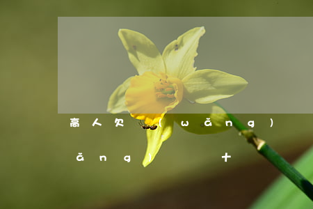 高人欠網(wǎng)貸一百多萬(欠網(wǎng)貸幾十萬)