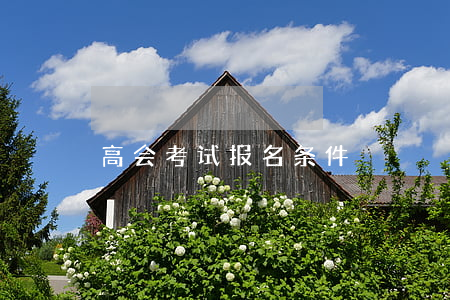 高会考试报名条件
