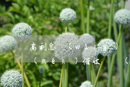 高利息網(wǎng)貸會(huì)上門(mén)催收嗎(網(wǎng)貸允許上門(mén)催收嗎)