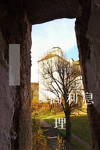 高利息網(wǎng)貸逾期可以找律師處理嗎(為什么律師不接網(wǎng)貸逾期案件)