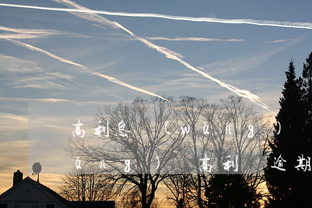 高利息網(wǎng)貸逾期怎么辦(網(wǎng)貸高利貸逾期不還會怎么樣)